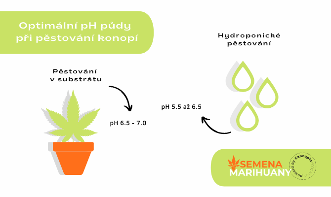 pH půdy při pěstování konopí
